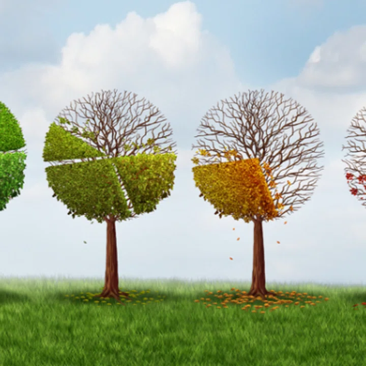 ¿Qué está primero? ¿El cambio climático o los modelos económicos de los países?