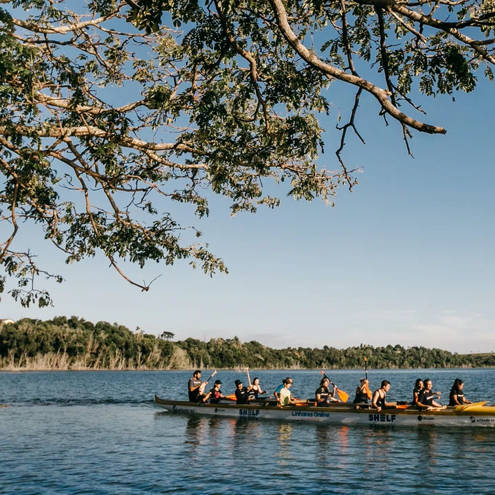 BBVA United by securities