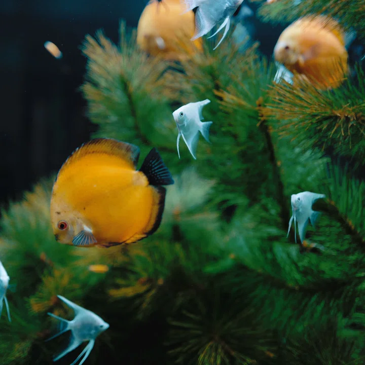 La transformación digital empieza por uno mismo