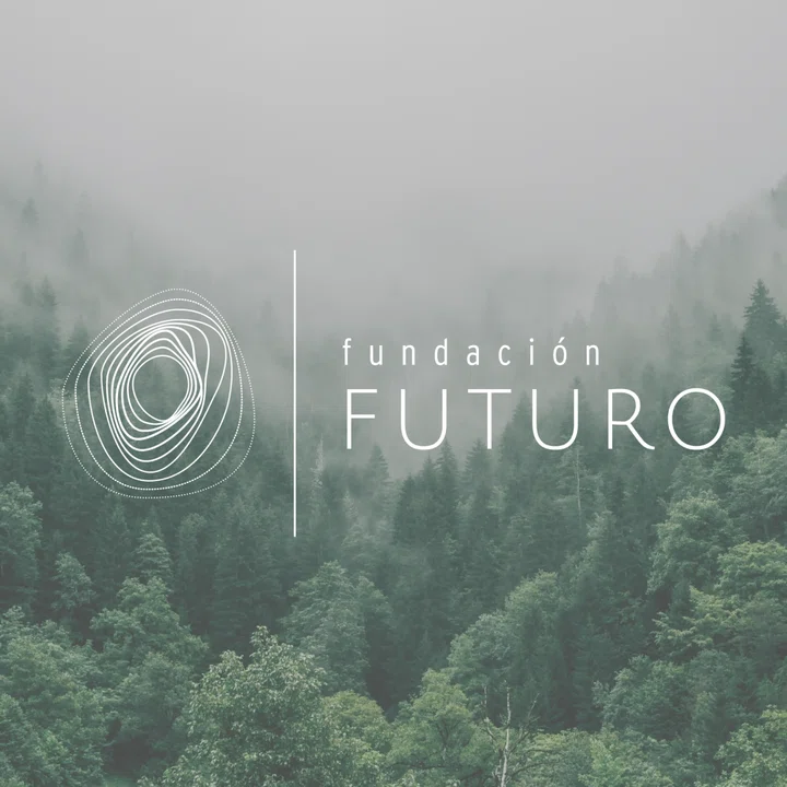 NFTree: A Blockchain-Based Digital Platform to Offset Carbon Footprint and Protect our Forests