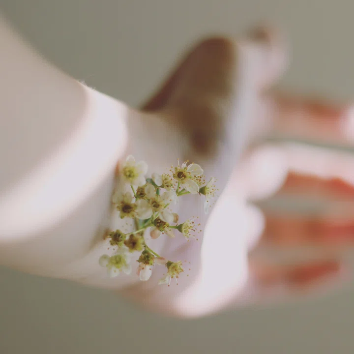 Contributing to the next sanitary revolution