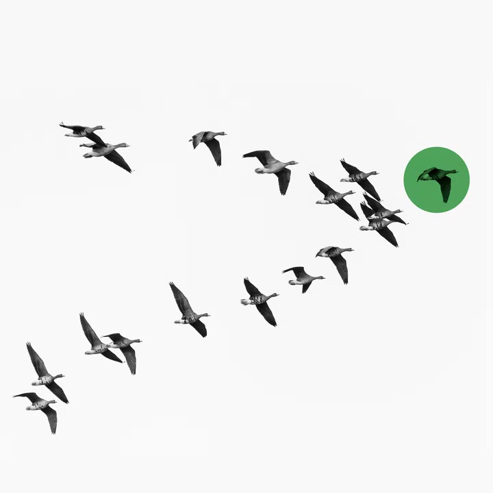 Employee experience and leadership: how to create a motivated and engaged team, by Alejandro Briceño