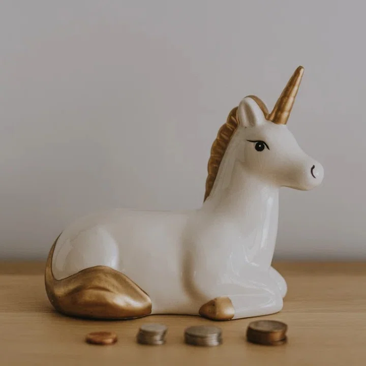 Dalla terra al cloud: gli unicorni vivono nelle nuvole