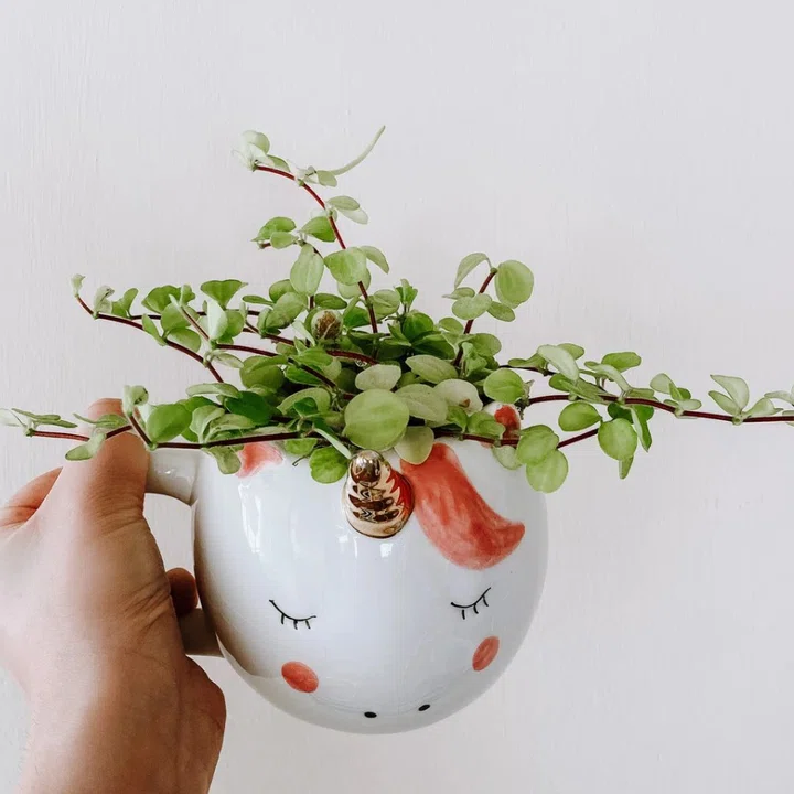 Il boom degli unicorni green