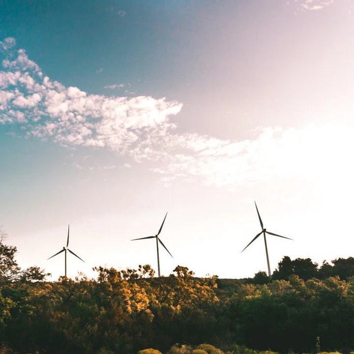 Innovazione sociale, come le aziende possono avere un impatto positivo sulla società