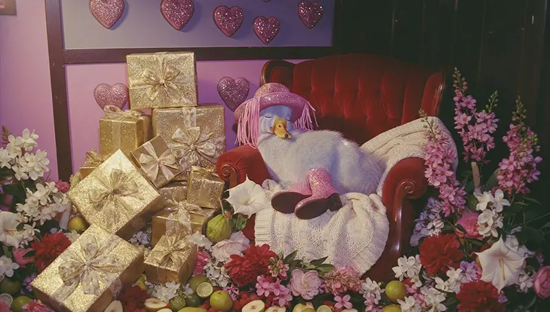 立即註冊獲得折抵券🧧