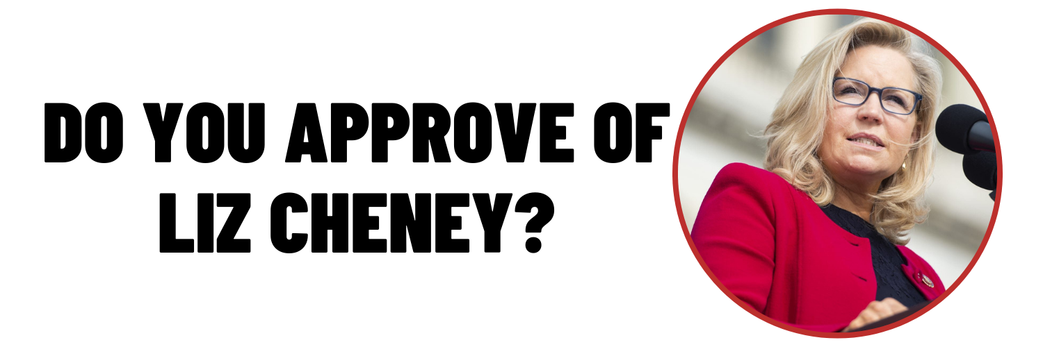 Do you approve of Liz Cheney? Image of Liz Cheney