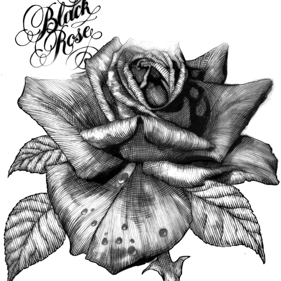Logo de Black Rose