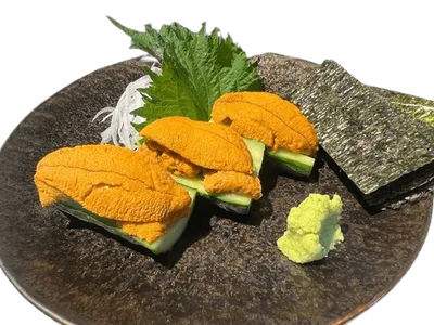 加拿大 海膽