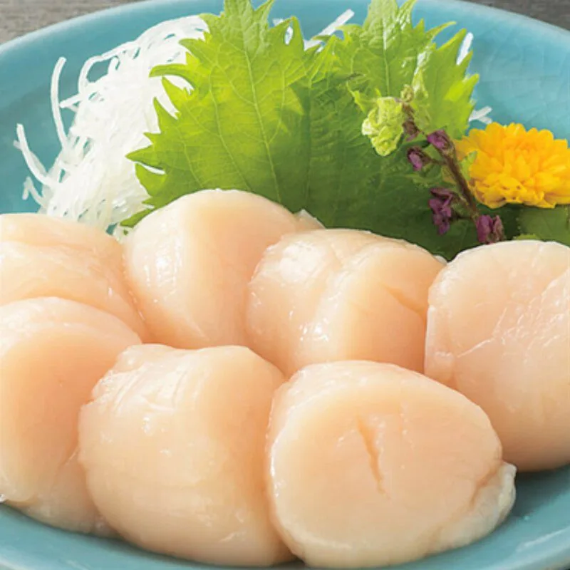 北海道 帶子刺身