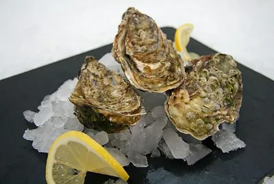 Maldon Oysters *只限星期六/日於Sale門市自取