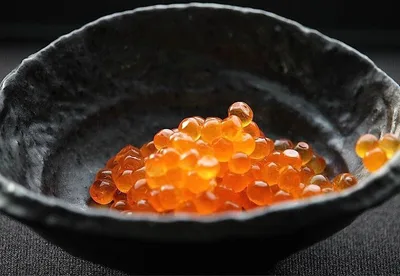 美國 三文魚籽