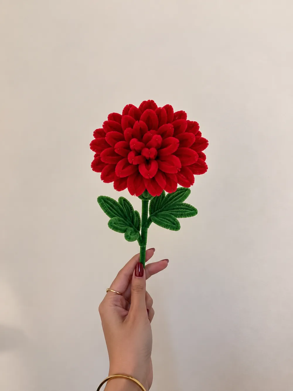 Red Dahlia