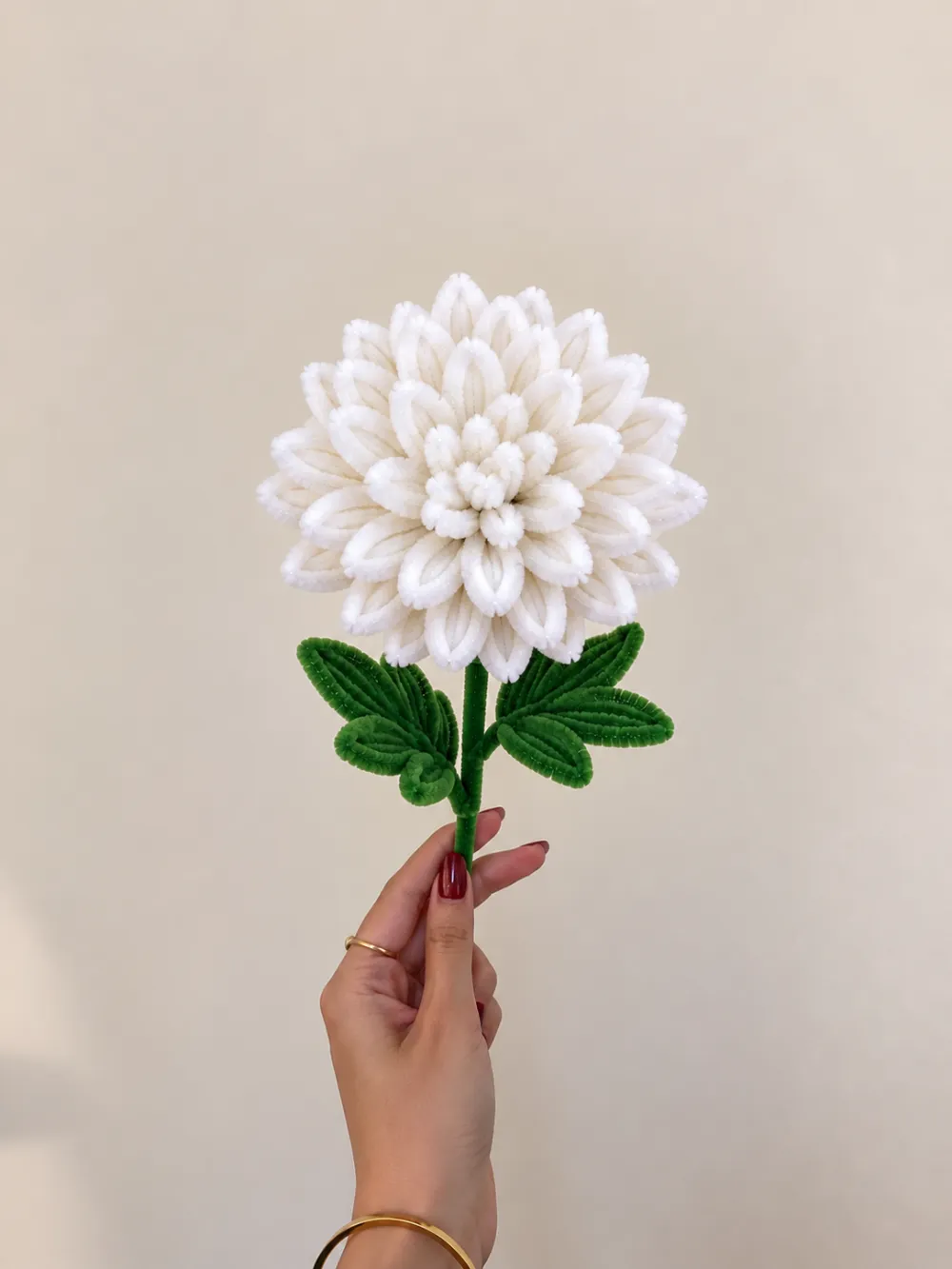 White Dahlia