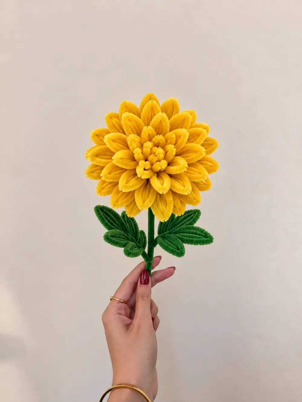 Yellow Dahlia