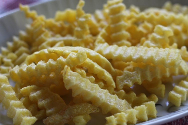 ARTEMİS French fries