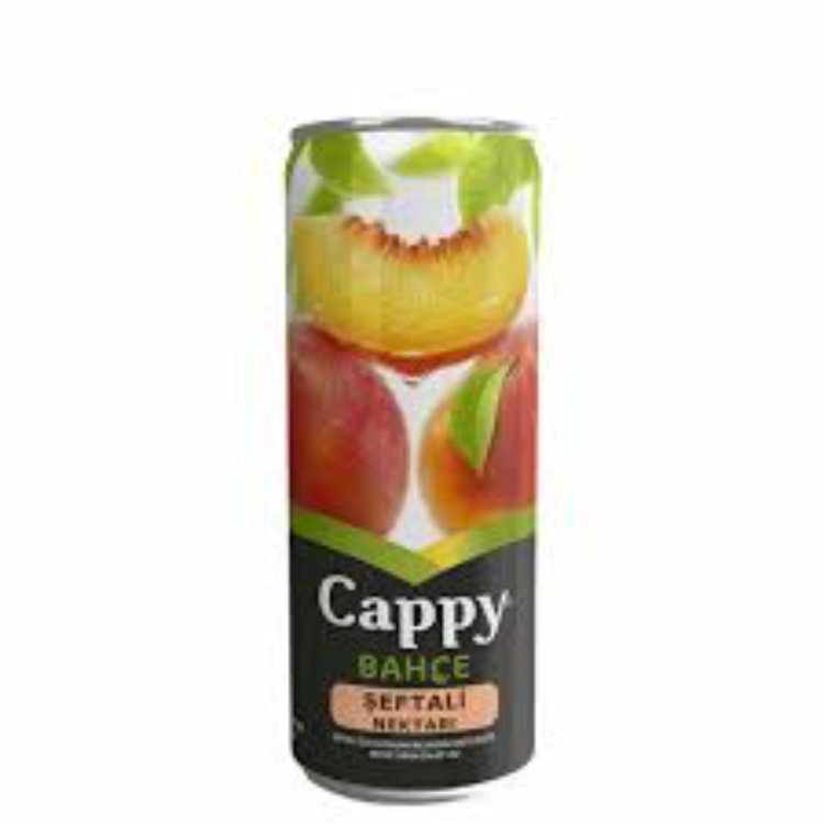 CAPPY Peach 250 ML Box