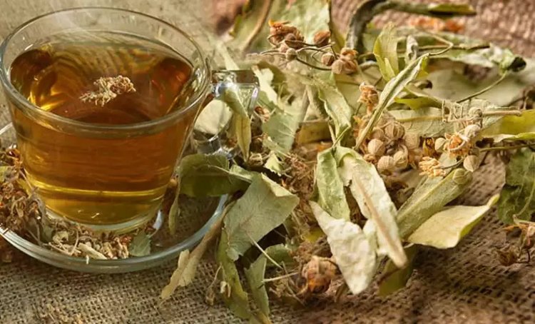 Ihlamur Çayı