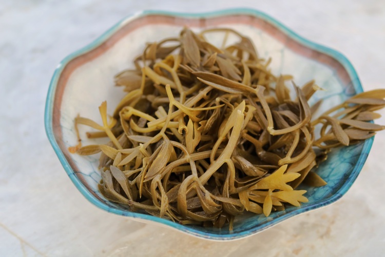 Kaya Koruğu