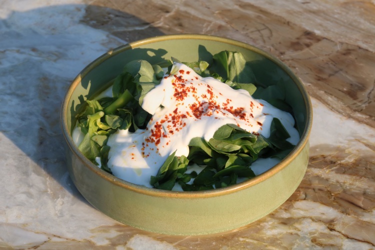 Purslane with Yogurt