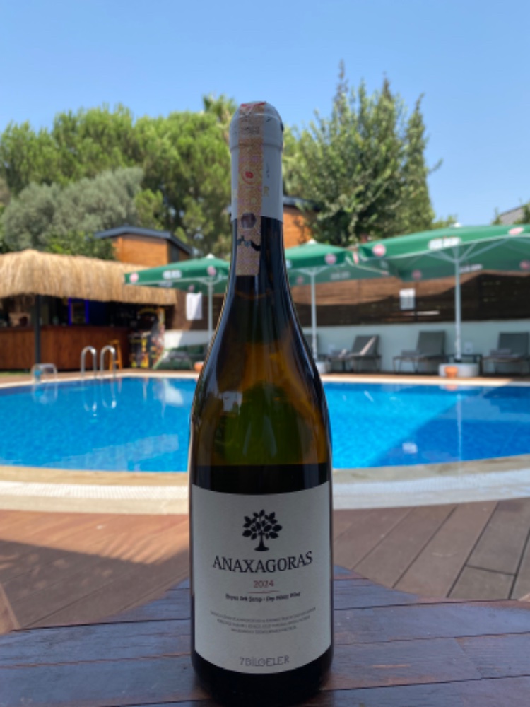 7 Bilgeler Anaxagoras Chardonnay