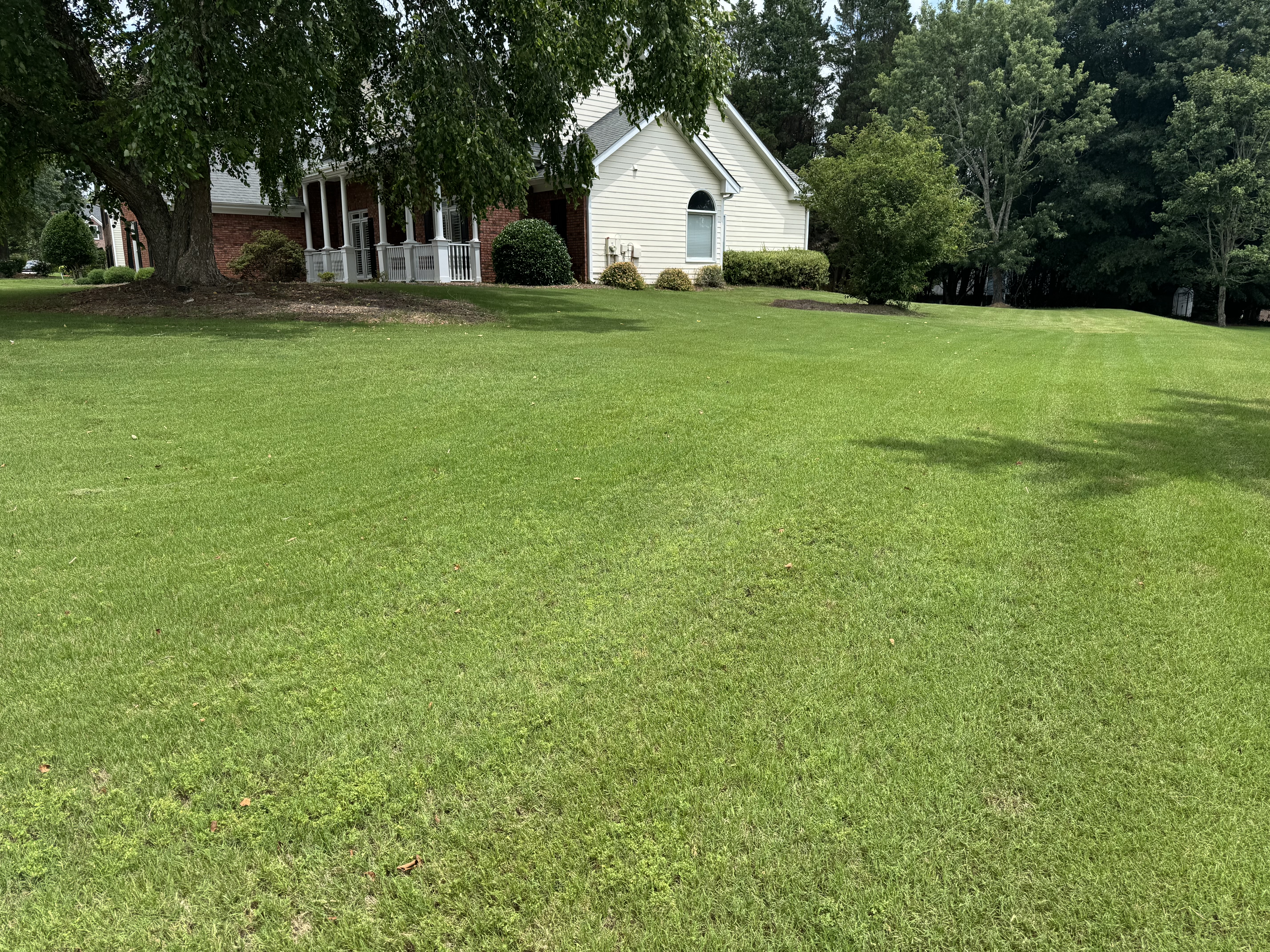 Well-maintained lawn area. — Lawrenceville, GA