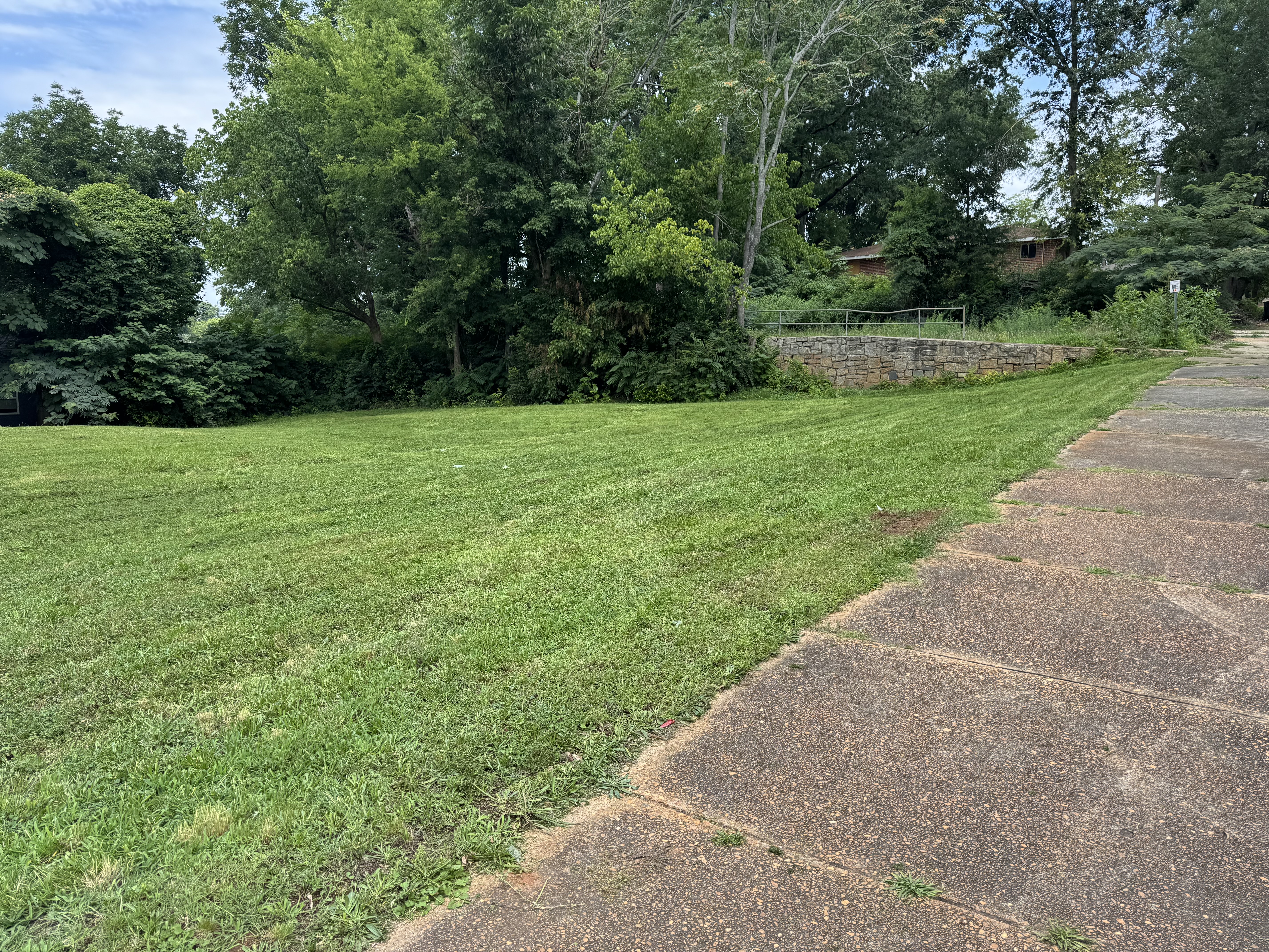 Lawn area before maintenance.