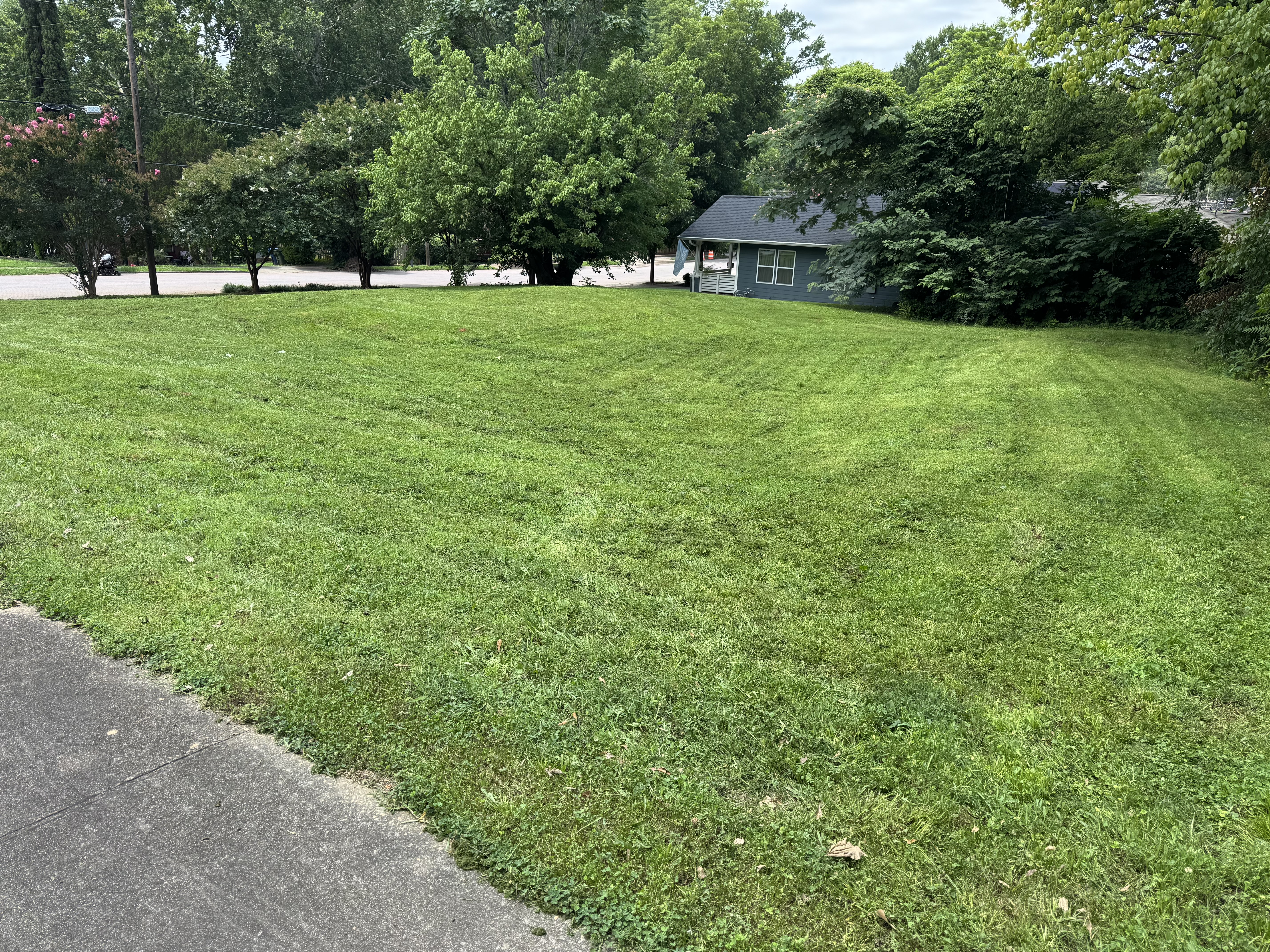 Recently mowed lawn area.