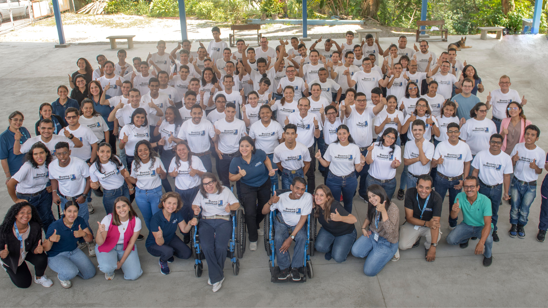 Buena Voluntad banner