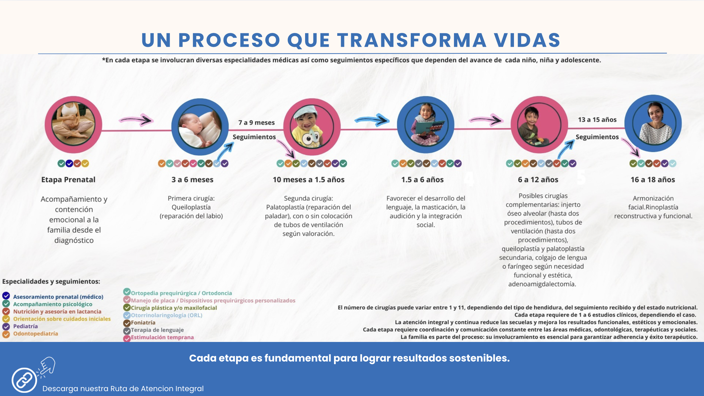 Infographic 8