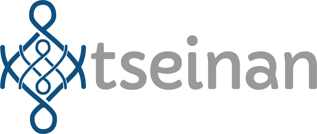 TSEINAN logo