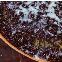 Terang bulan Coklat