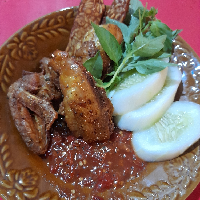 ayam goreng only