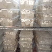Tahu Susu Mentahan 20 biji