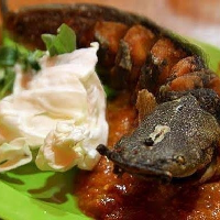 Lalapan Ikan lele tanpa nasi