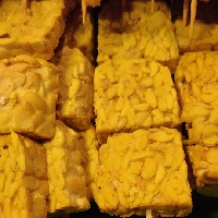 sate tempe