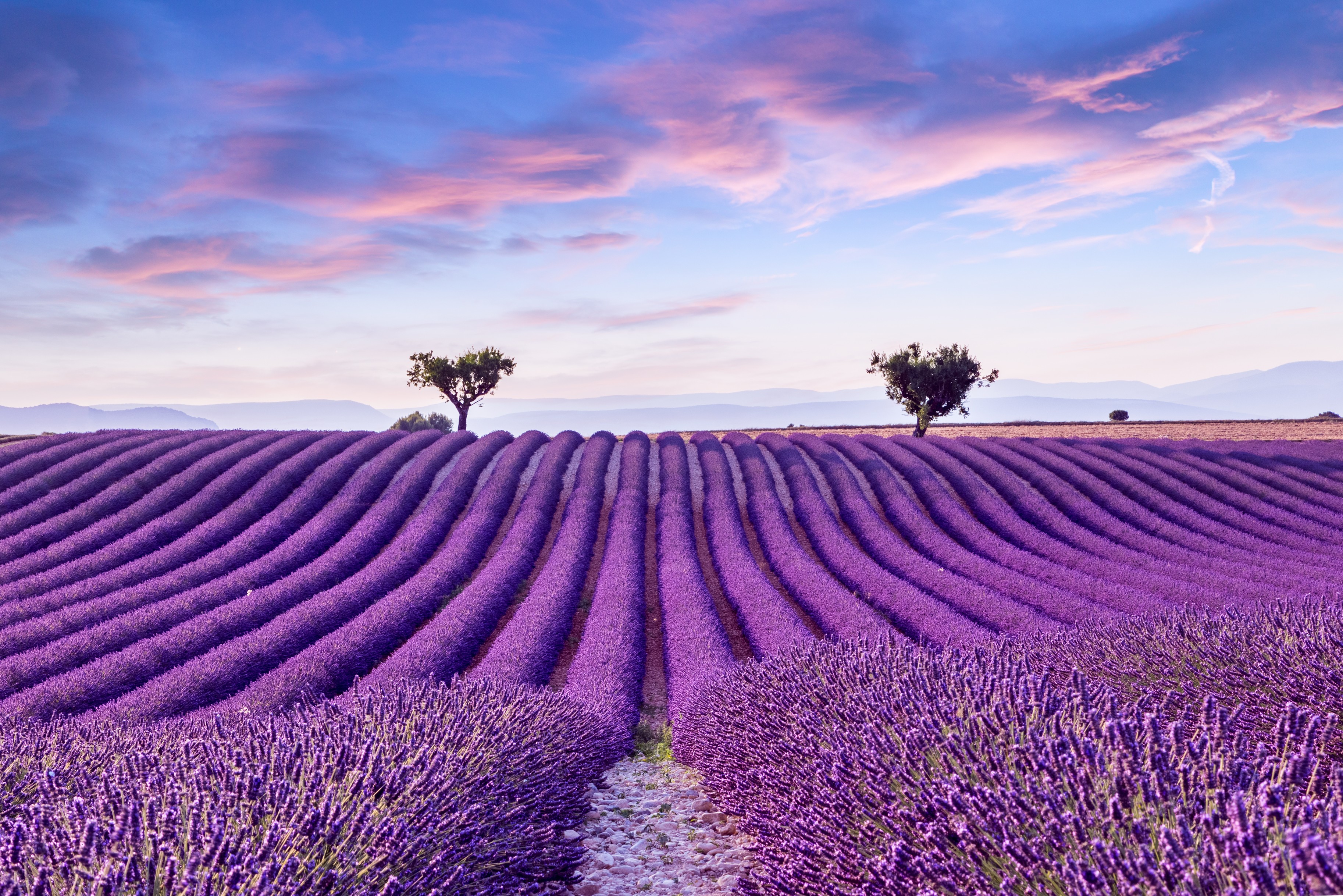 Enjoy savoir vivre in France