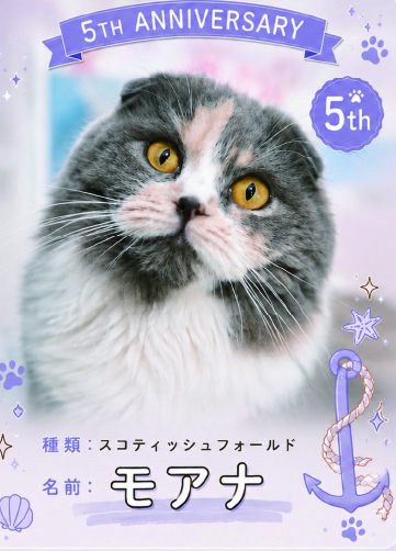 トレカ - 1