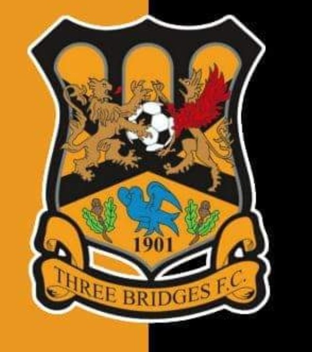 Three Bridges U11's
