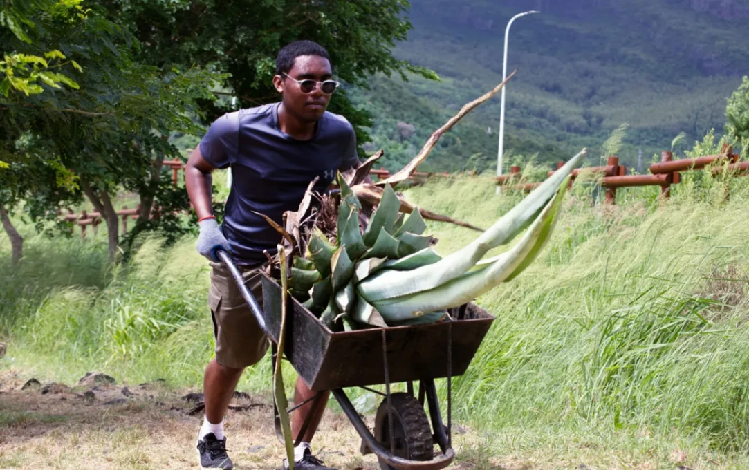 Hero 09 - Duke volunteer on invasive management