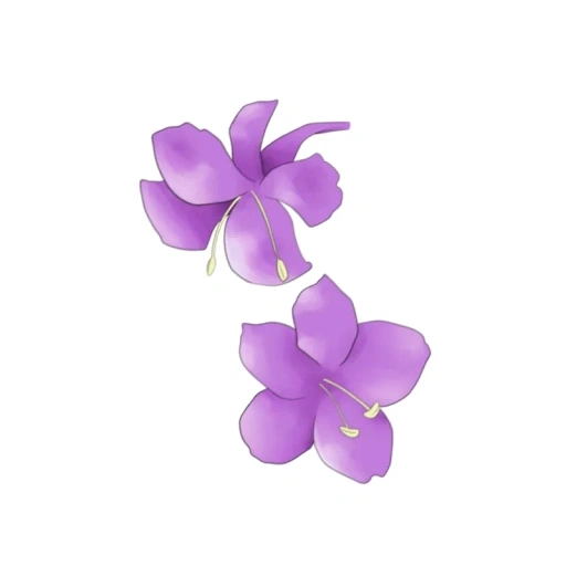Statistics Icon - Flowers