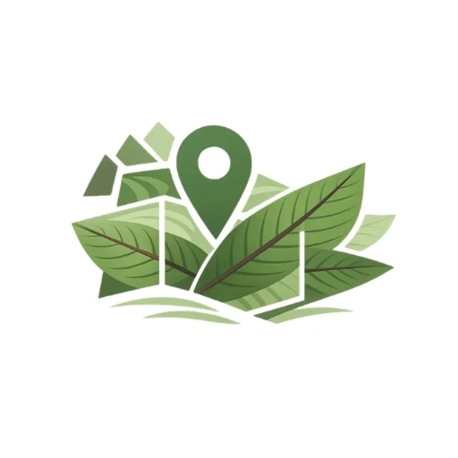 Statistics Icon - Map