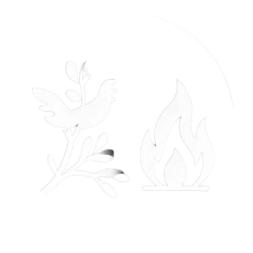 Benefits Icon -Fire