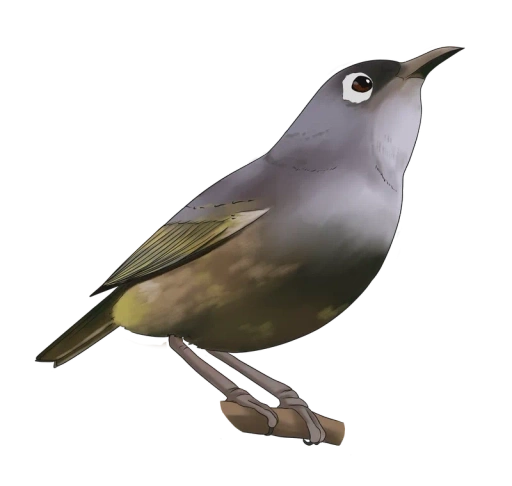 Process Icon - Olive White Eye