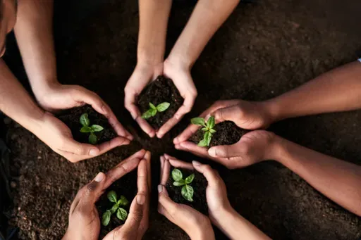 Hands holding sapling in soil - AI