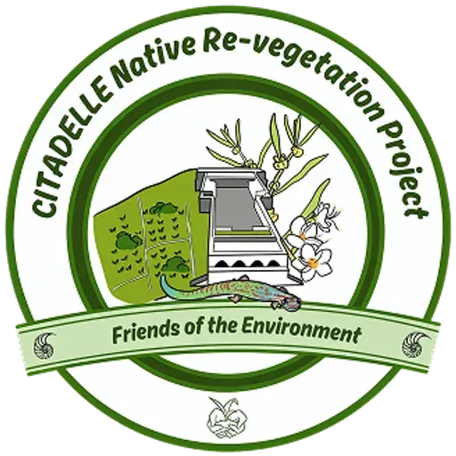 Citadelle Native