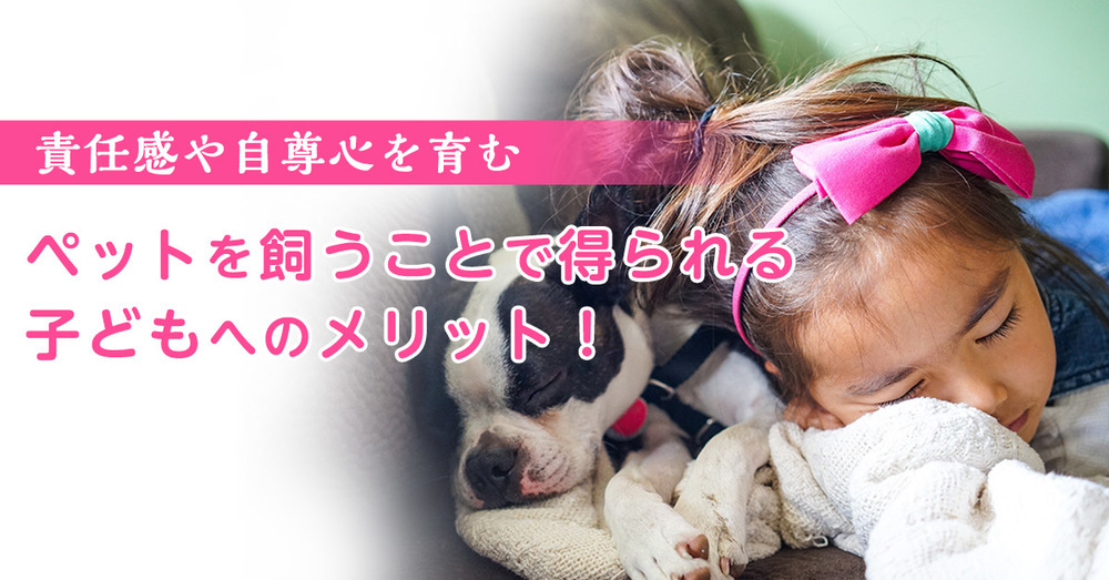 ペットを飼うことで得られる子どもへのメリット！【責任感や自尊心を育む】