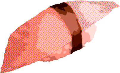 Nigiri de Besugo