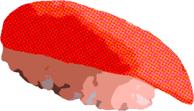 Nigiri de Tomate