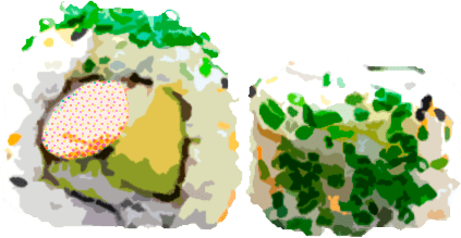 Ebi Roll